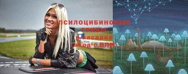 спиды Алзамай