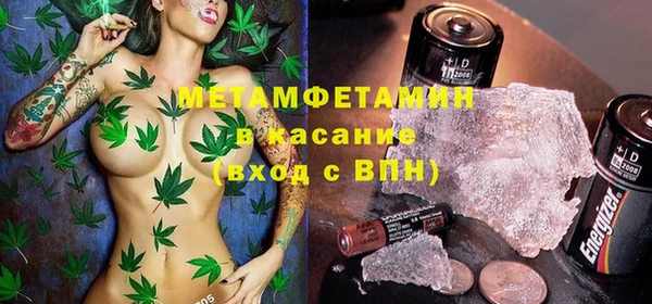 индика Алексин
