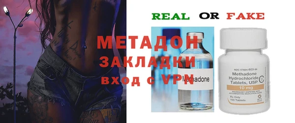 индика Алексин