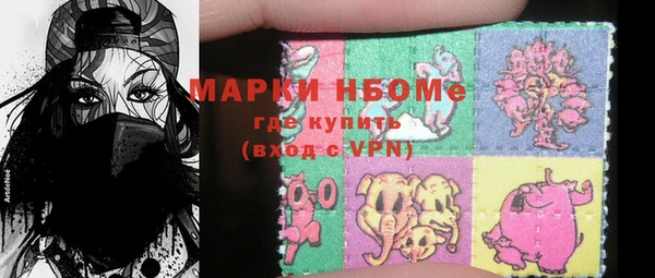 индика Алексин