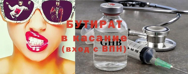 индика Алексин