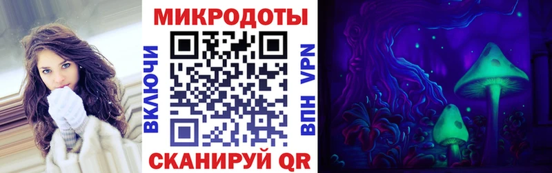 где найти   Сясьстрой  kraken ссылки  Галлюциногенные грибы GOLDEN TEACHER 